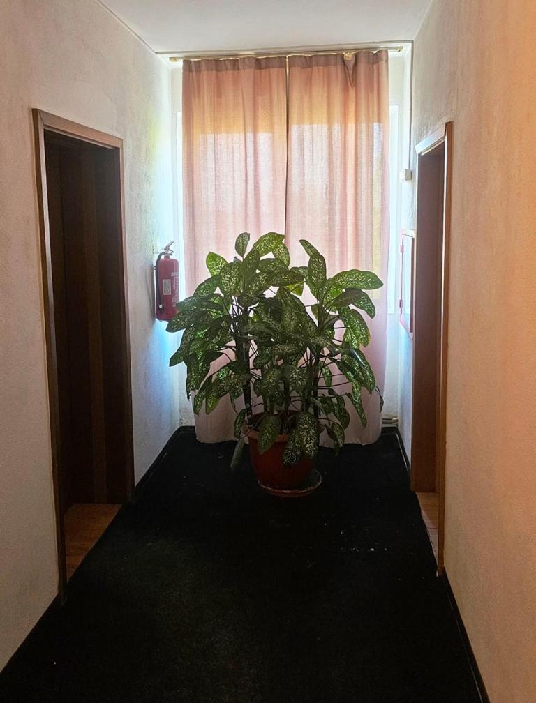 Hostel Casablanca Craiova Exterior foto